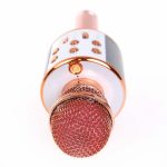 _vyrp12_971ws-858-karaoke-mikrofon-1