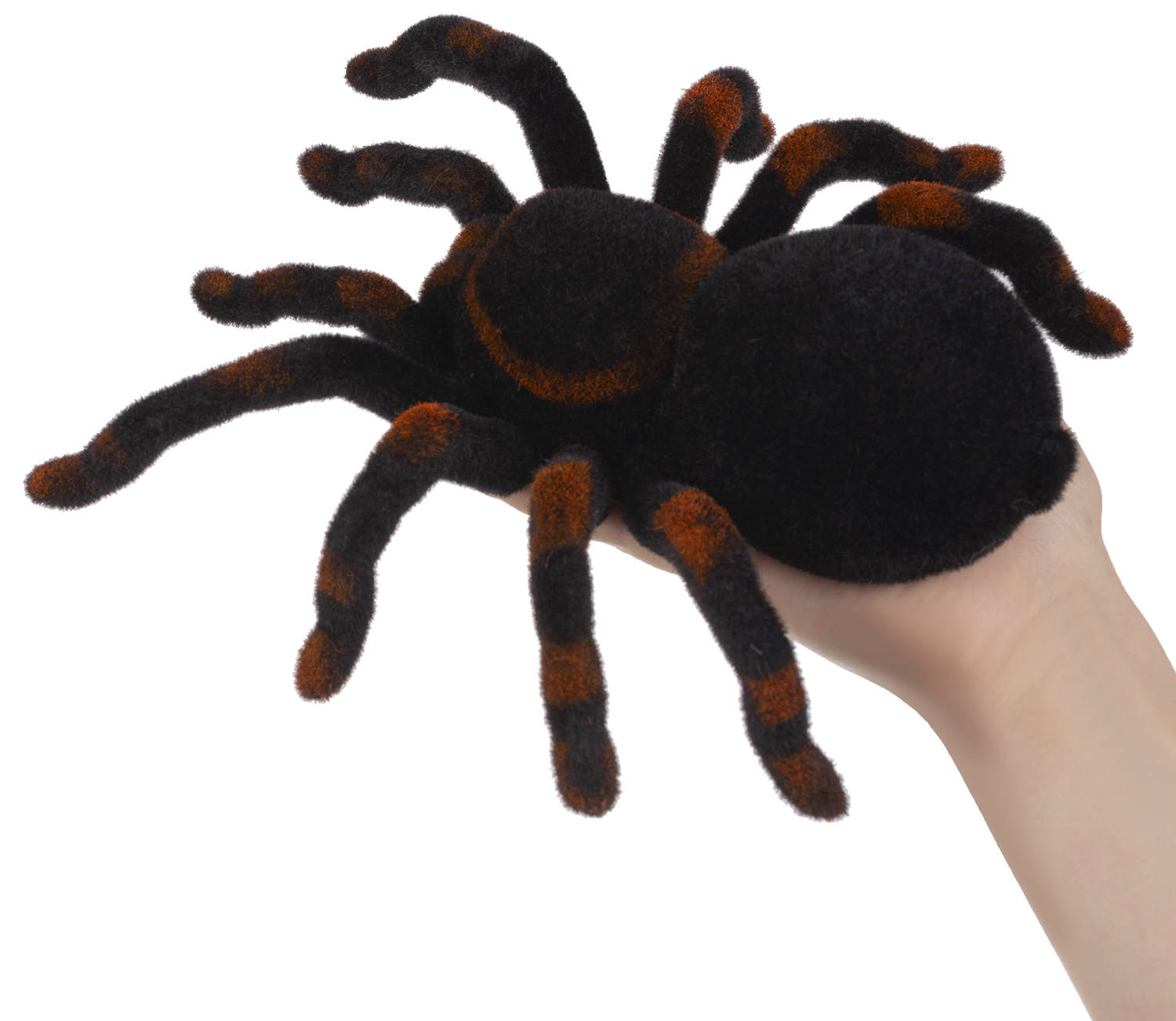 Élethű, távirányítós tarantula – 25 cm (BB-4503) (14)