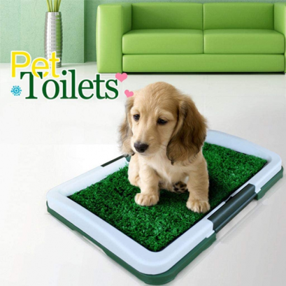 Beltéri kutya WC – hordozható, szagelnyelős, kölyökkutyák szobatisztaságra szoktatáshoz (GL- 60016) (3)
