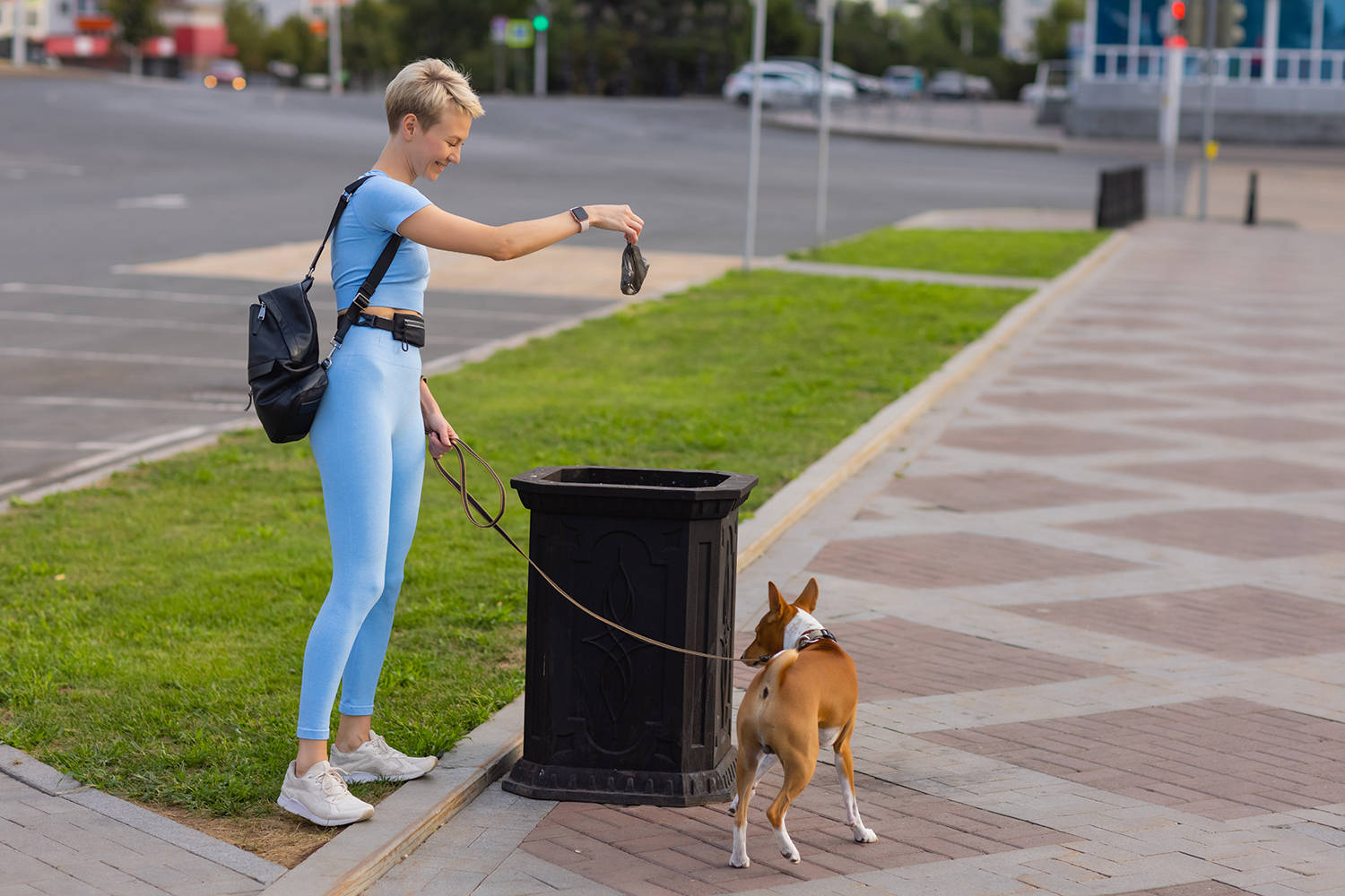 People working as dog-sitter, girl with french poodle dog in park. The young hispanic woman picks up her pet’s poo with plastic bag.