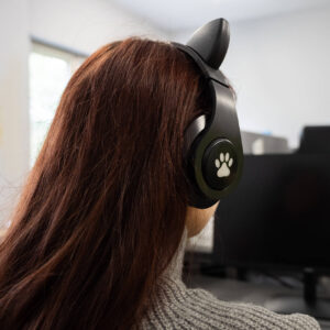 Cicafüles vezeték nélküli fejhallgató – fekete (BBD) (BBV)(BBJH) - Image 5