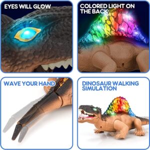 Heterodontosaurus távirányítós játék dínó élethú mozgással - 38 cm (BBJ) - Image 5