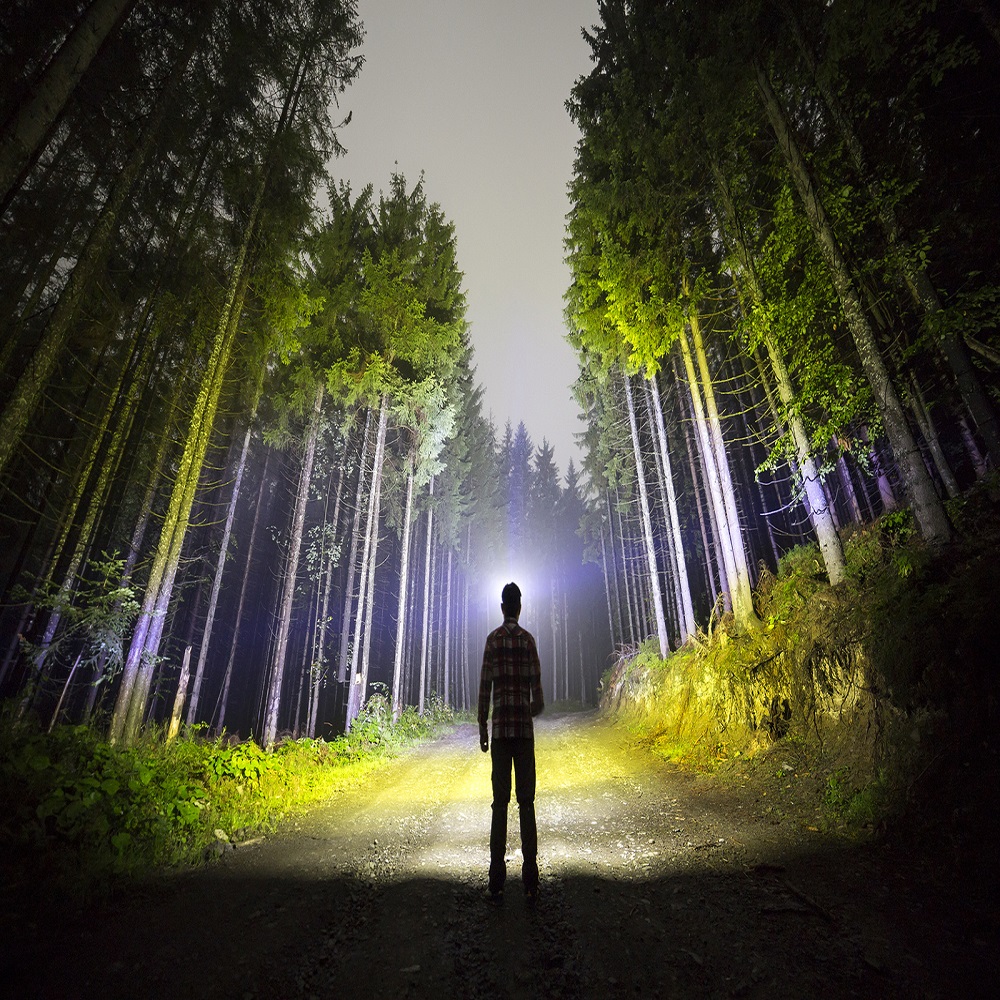 Back view of man with head flashlight standing on forest ground