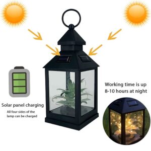 Kültéri napelemes vízálló dekor lámpás - aloe vera SL2061 (BBV) - Image 5