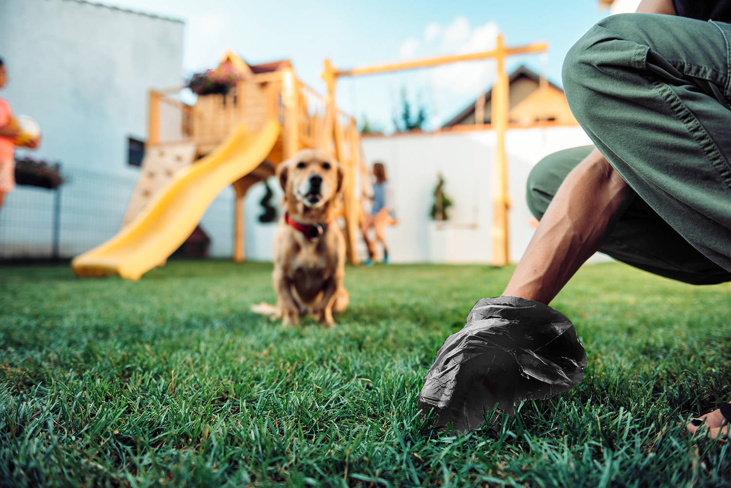 Woman picking up dog poop from the lawn