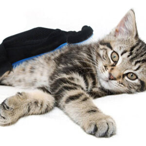 Szőrápoló, masszírozó kesztyű kutyák, cicák részére (BBL) - Image 5