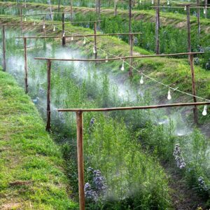 Vízpermet fújó, hűsítő párafüggöny rendszer kertbe, teraszra - 10m hosszú csővel és 11 permetező fejjel - slaghoz csatlakoztatható (BBD) - Image 4