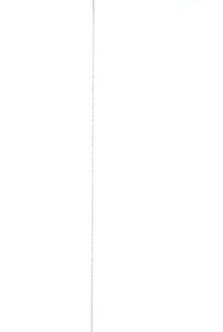 Fából készült készségfejlesztő játék (kendama) - csíkos (BBJ) - Image 8