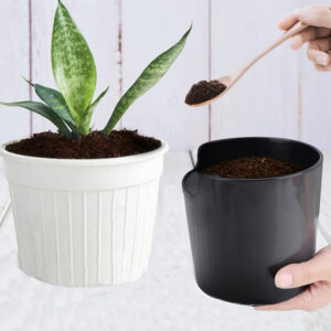 Mosogatógépben mosható kávézacc gyűjtő edény komposztáláshoz - fekete (BBV) - Image 3