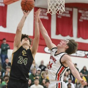 Strapabíró műbőr labda - röplabda, focilabda, kosárlabda (BBJ) - Image 6