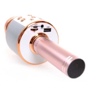 Bluetooth Karaoke mikrofon WS-858 (BBL) - Image 11