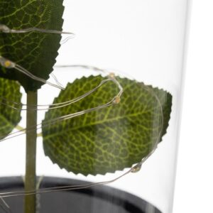 LED-es örök rózsa üvegben - dekor lámpa díszdobozban (BBJ) - Image 8