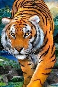 Szuper nedvszívó tigris mintás plüss strandfürdőlepedő 70 x 140 cm (BBCD) - Image 4