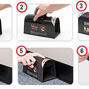 Elektromos egér/patkánycsapda (BBV) - Image 6