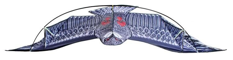 eng_pl_Great-Eagle-Flying-Dragon-for-Kids-Adults-Huge-200-x-83-cm-Wingspan-Dragonfly-Lifelike-Black-8560-13685_5-1