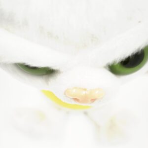 HisztiCica mérges plüss cica– vicces, puha plüss játék gyerekeknek (BBJ) - Image 5